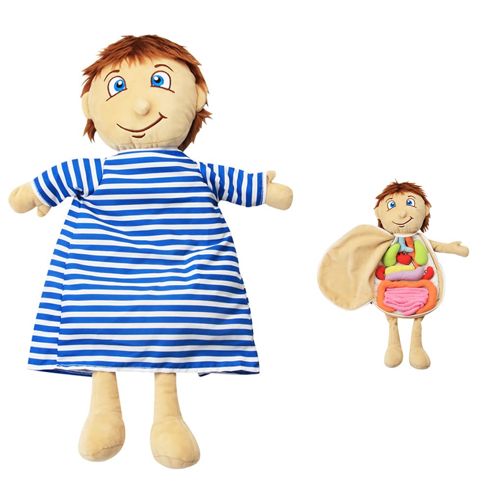 KAKIBLIN Anatomy Toys for Kids Body Organs Human Body Model for Kids Preschool Educational Organ PlushScience Learning Kits Body Organ Science Kits Sensory Toys for Boys Girls